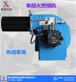 隆鑫熱能設(shè)備 高效節(jié)能的燃油燃?xì)馊紵龣C(jī)，驅(qū)動(dòng)現(xiàn)代工業(yè)熱能解決方案